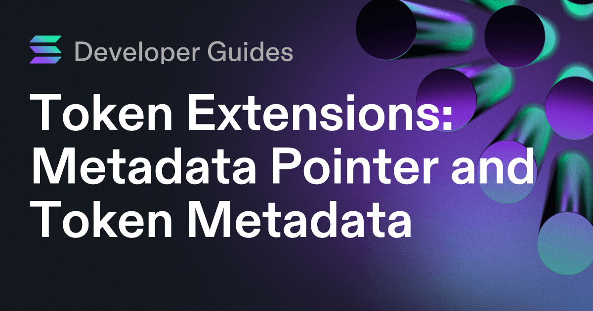 How to use the Metadata Pointer extension